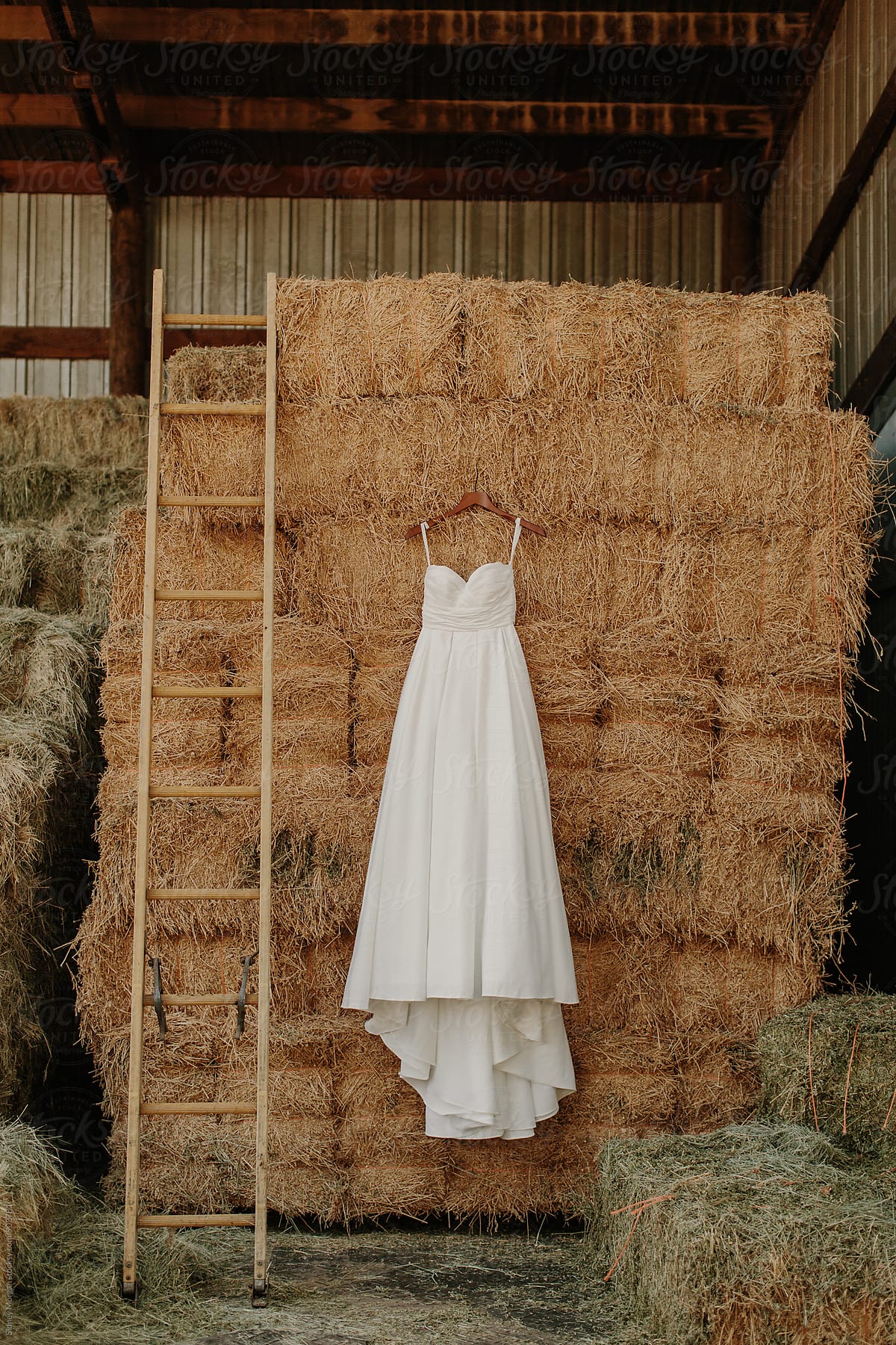 Wedding Dress in Barn