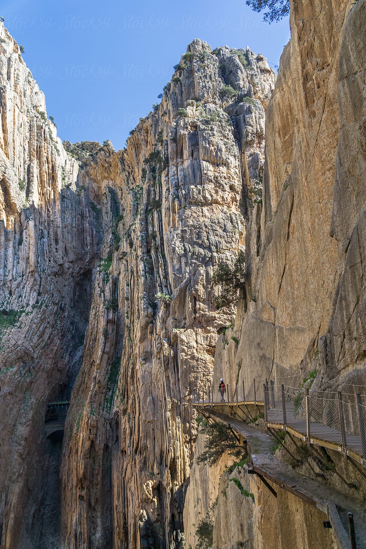 Woman walking on wooden walkway at the edge of a cliff in Caminito del Rey