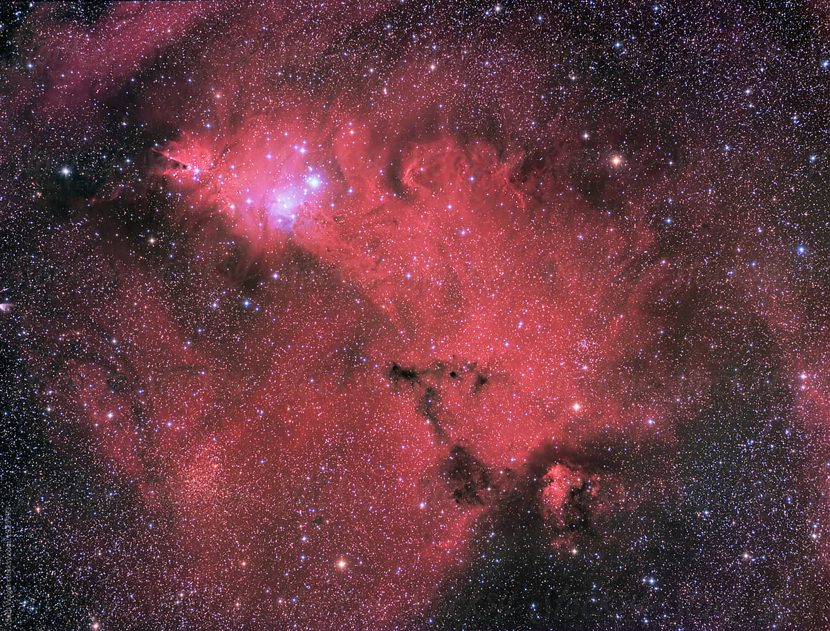 NGC2264 The Christmas tree and cone nebula
