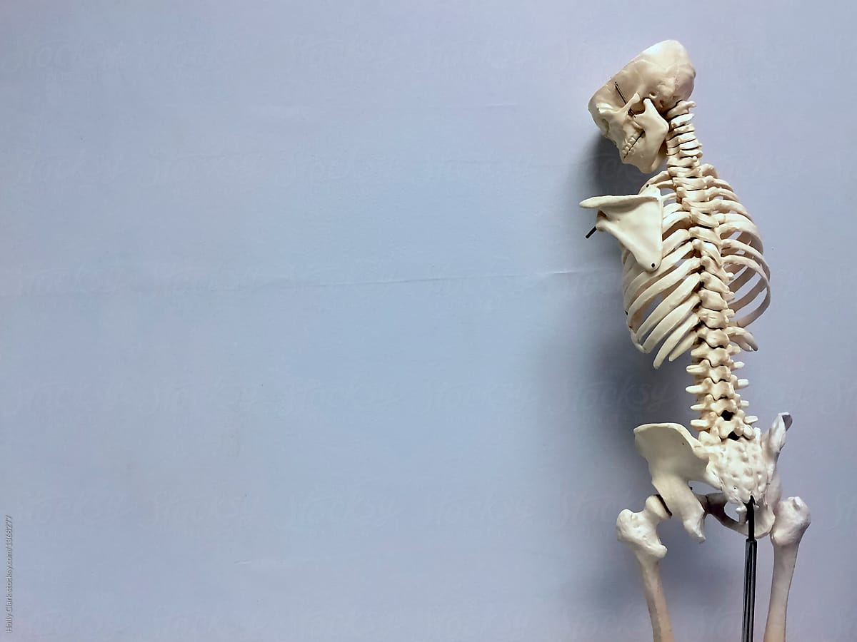 Sad skeleton leaning against blue wall in doctor office