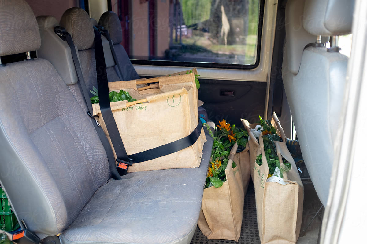 Bags with vegetable with seatbelt