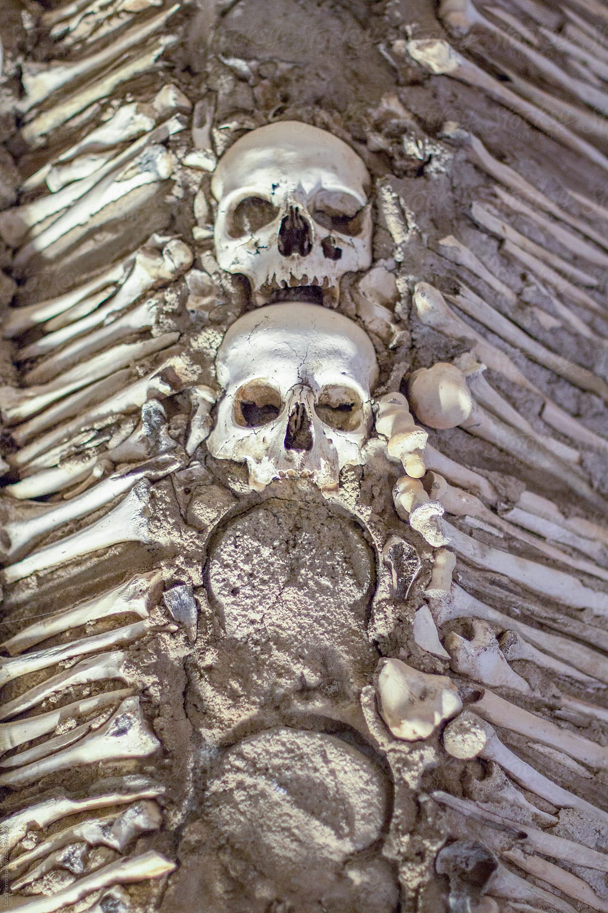 Pattern of skulls and bones