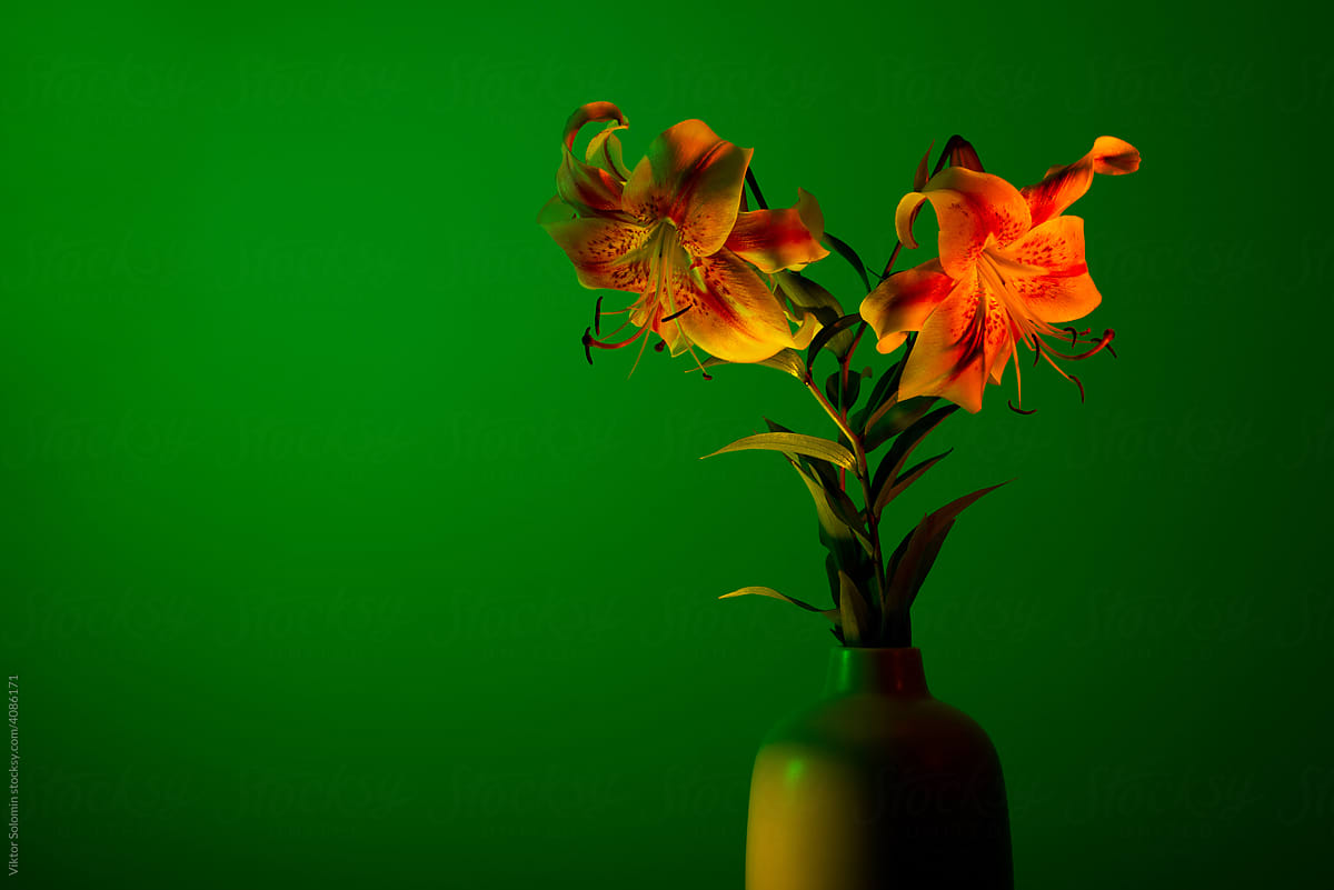 Tender spotted lilies in vase