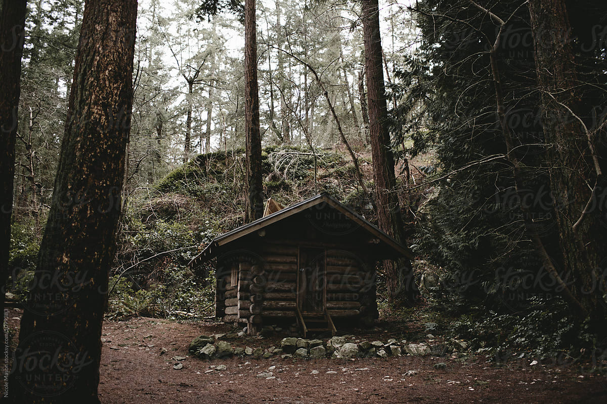 The woods collection dark. Cabin in Forest. Dark Cabin. The Woods collection Dark Forest. Ted Kaczynski in Forest Cabin.